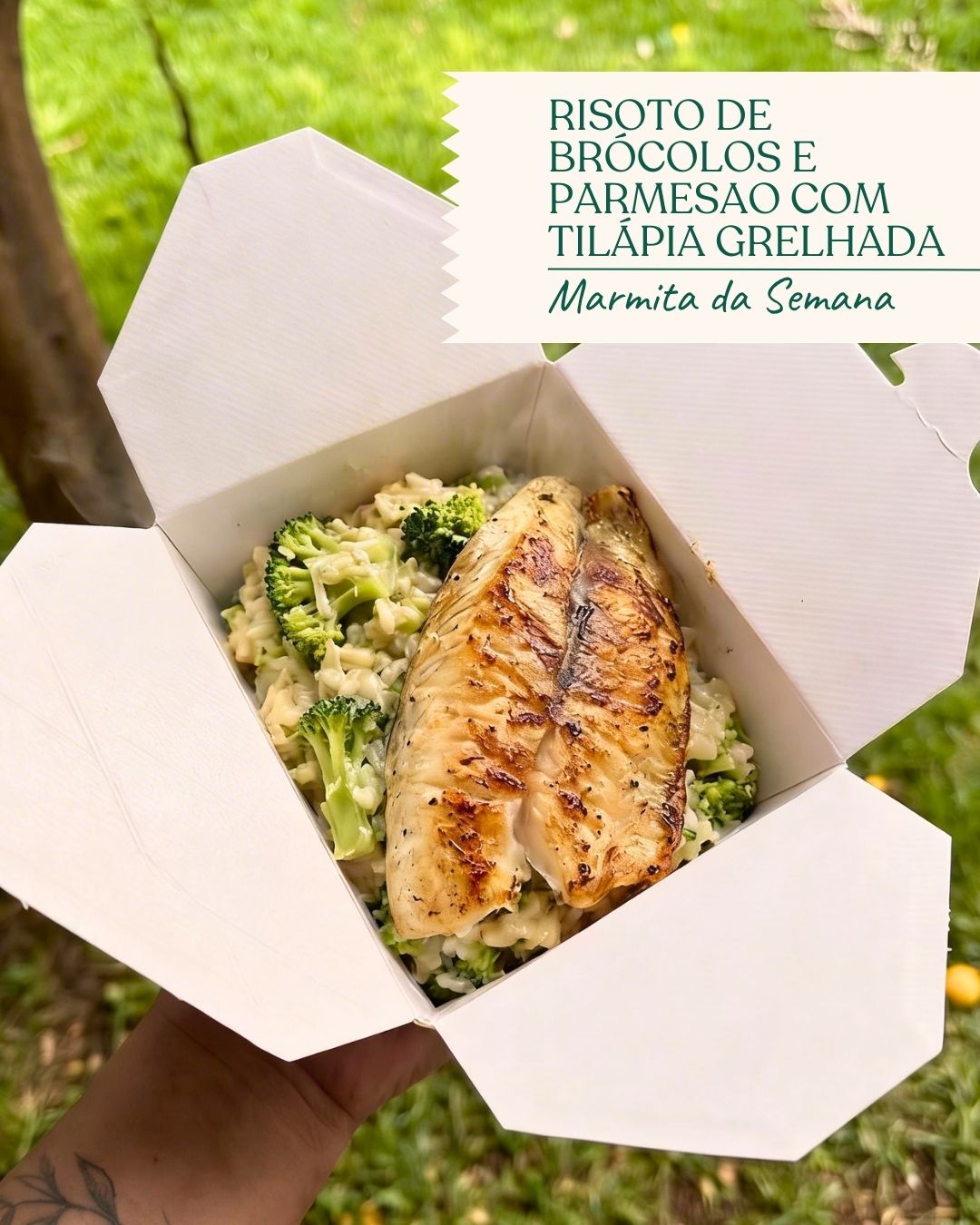 Marmita da semana- Risoto de brócolos e parmesão com Tilápia grelhada